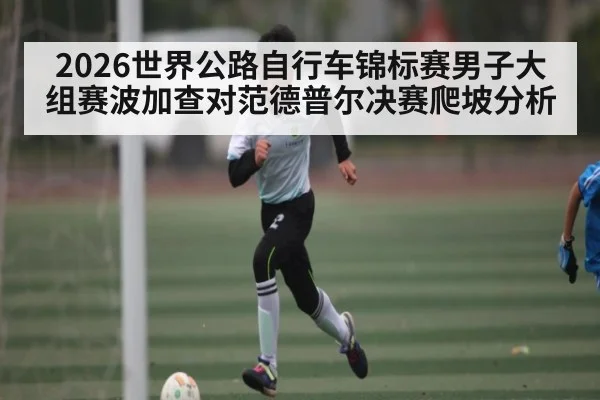 2026世界公路自行车锦标赛男子大组赛波加查对范德普尔决赛爬坡分析
